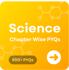 CBSE Class 10 Science PYQs